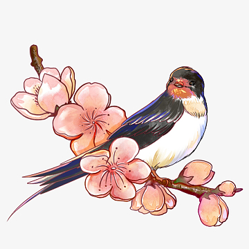 梅花和鸟儿手绘