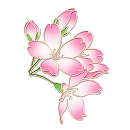 粉色樱花枝条