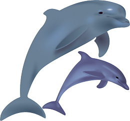 海底世界海底世界 海洋馆 海洋世界 海底