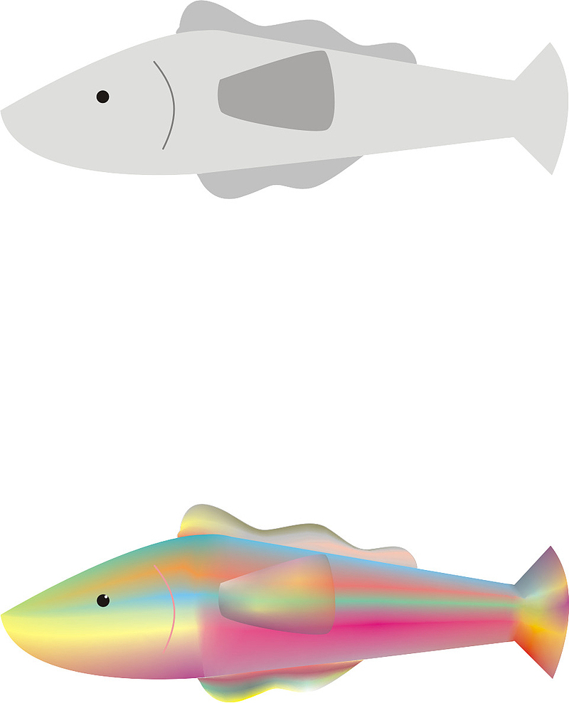 彩色的鱼和灰鱼