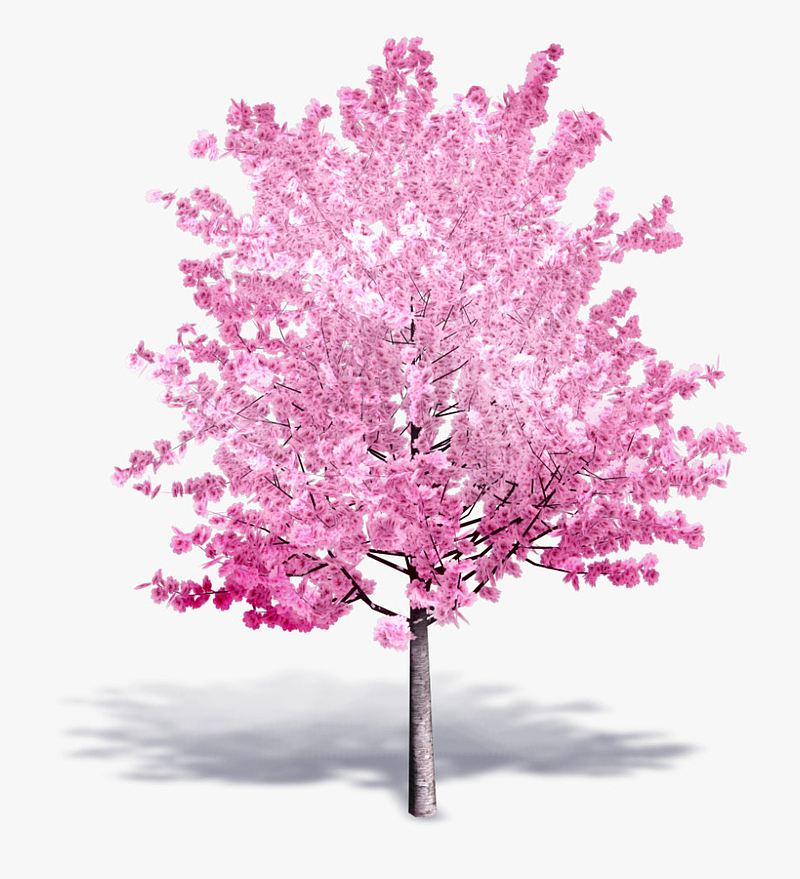高清精美中国风樱花树手绘素材