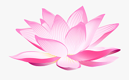 一朵精美的手绘大莲花插画素材