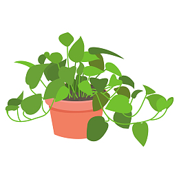 绿萝家居植物热带室内盆栽矢量元素