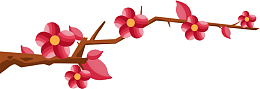 花朵一枝花梅花