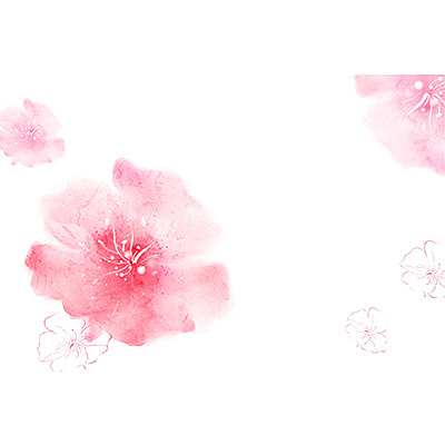 粉色樱花  花朵  桃花  樱花手绘