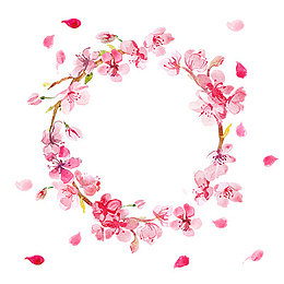 花环  粉色樱花  花朵
