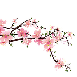 粉色桃花  花朵  桃花  樱花