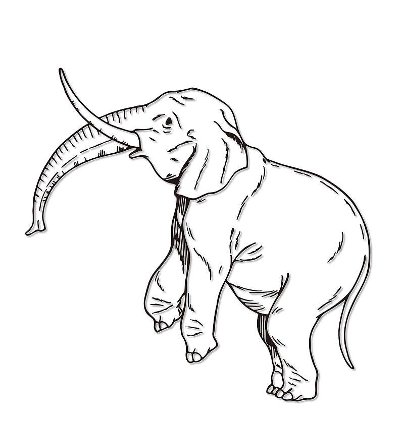 大象 动物 矢量图