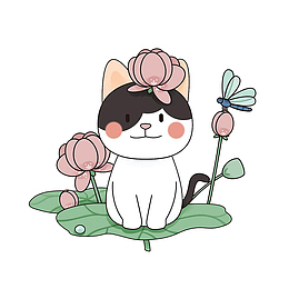 头顶荷花的花猫