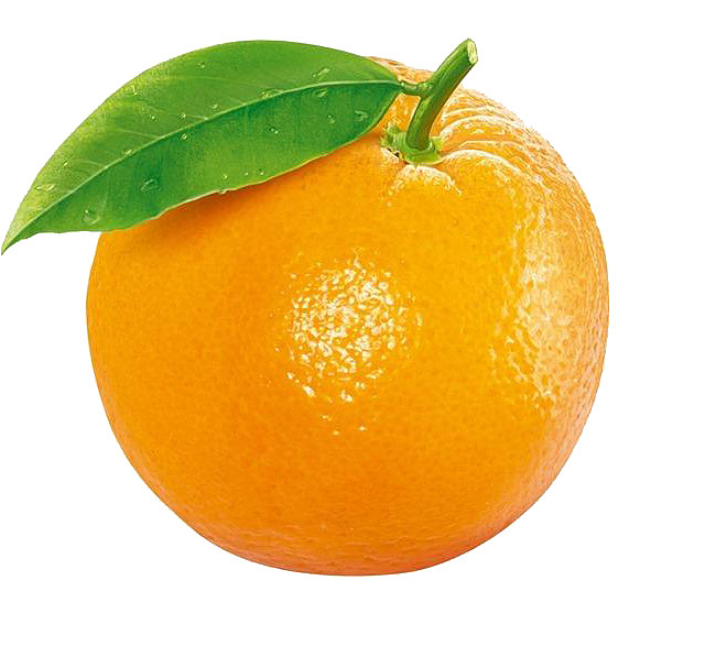 橘子，橙子，水果