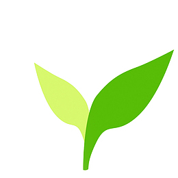 卡通茶叶简笔画