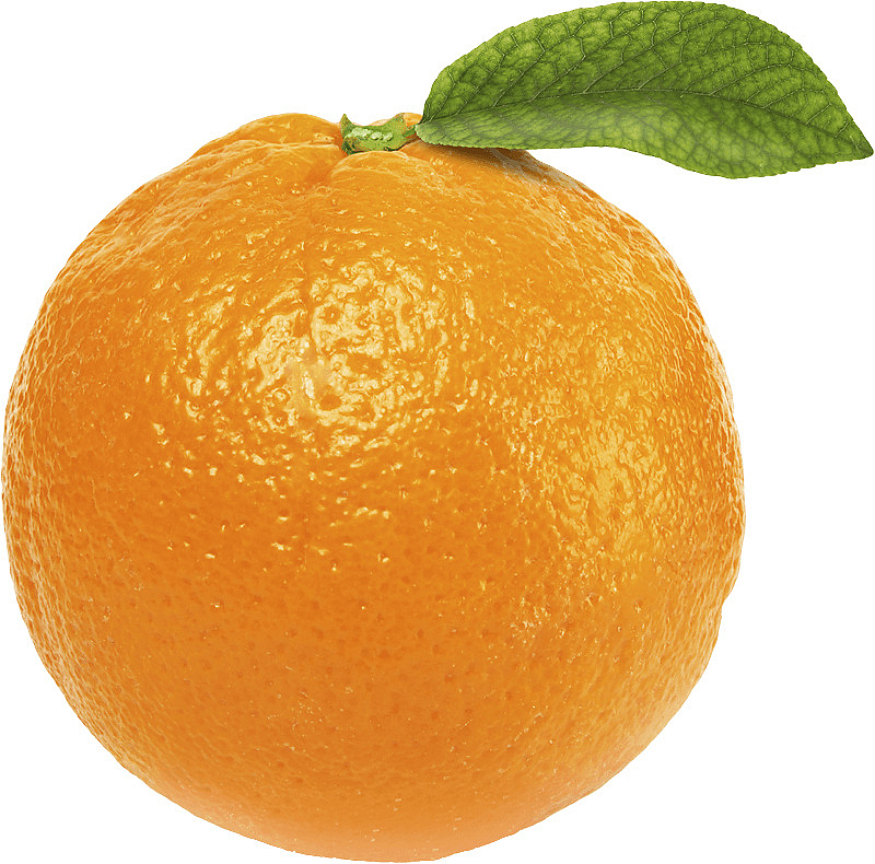 新鲜水果橘子免扣素材