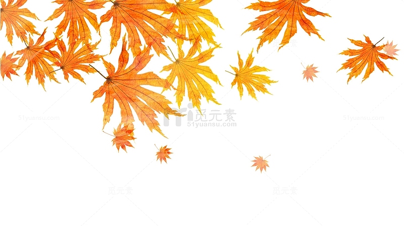 手绘秋天黄色枫叶边框装饰