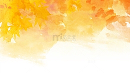 手绘秋天黄色枫叶边框装饰背景