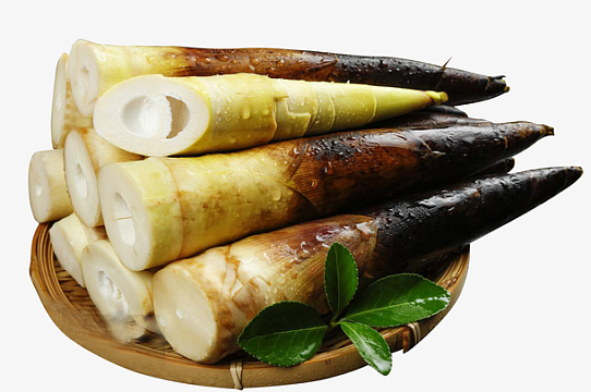 竹笋 春笋 鲜笋