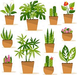 高清绿植盆景打包素材插画