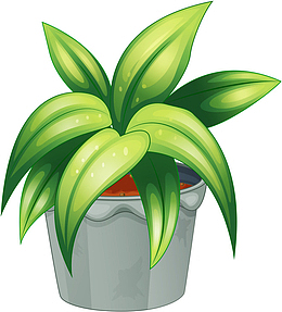 高清手绘盆栽绿植素材