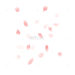 手绘飘落花瓣桃花装饰花瓣漂浮