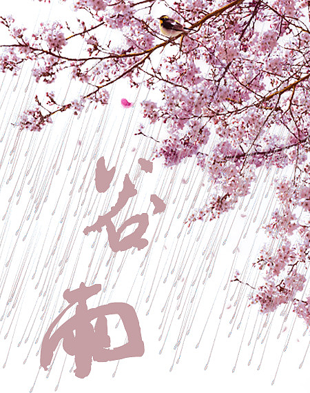 樱花谷雨元素