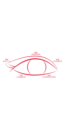 眼睛手绘标注图