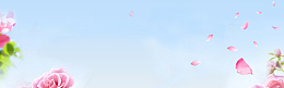 自然花朵banner