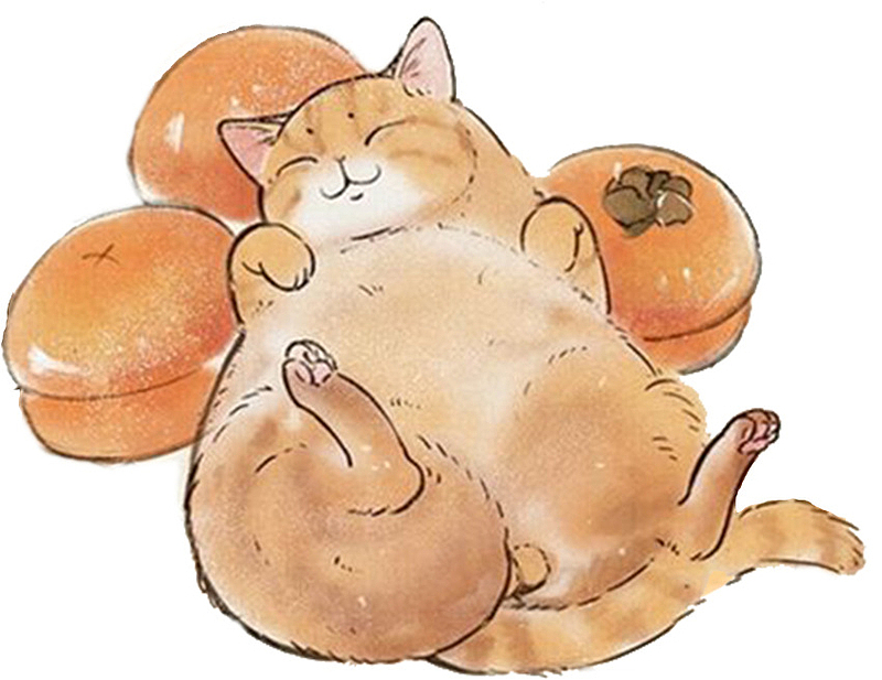 橘猫 柿子 睡觉