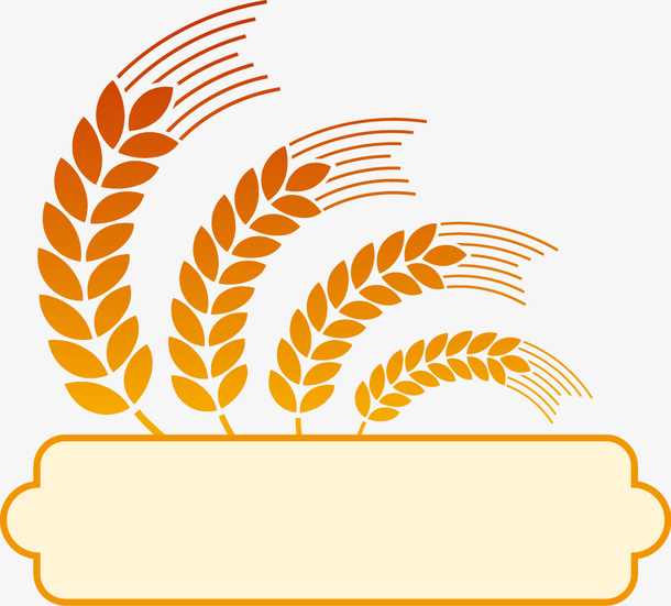 金色麦穗标志徽章装饰边框