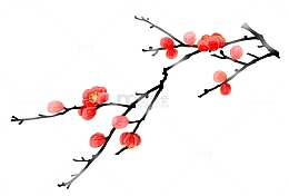 红色梅花素材png