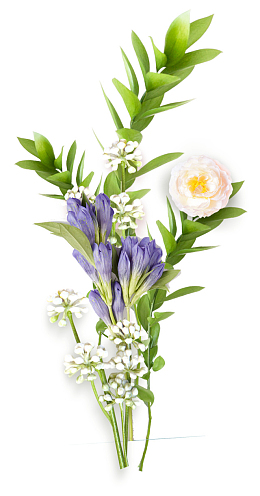 一束高清粉白鲜花