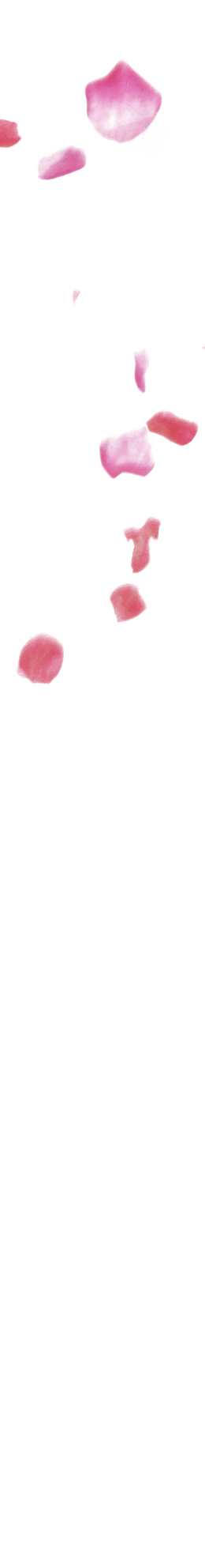 樱花花瓣png