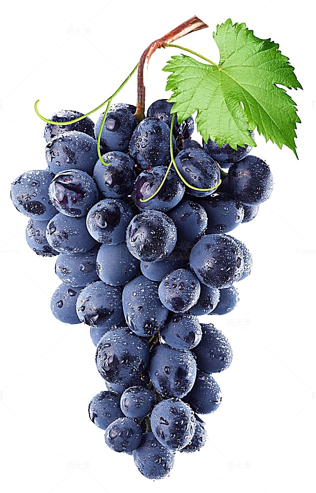 一串紫色美味的葡萄