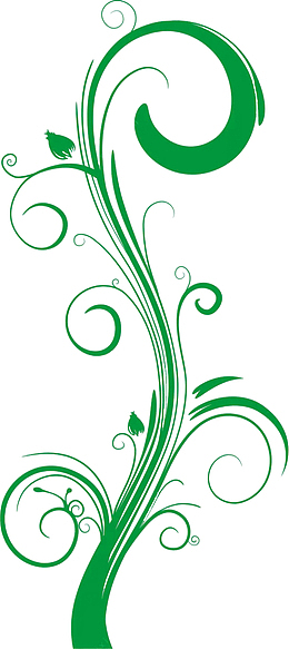 绿色植物藤蔓png