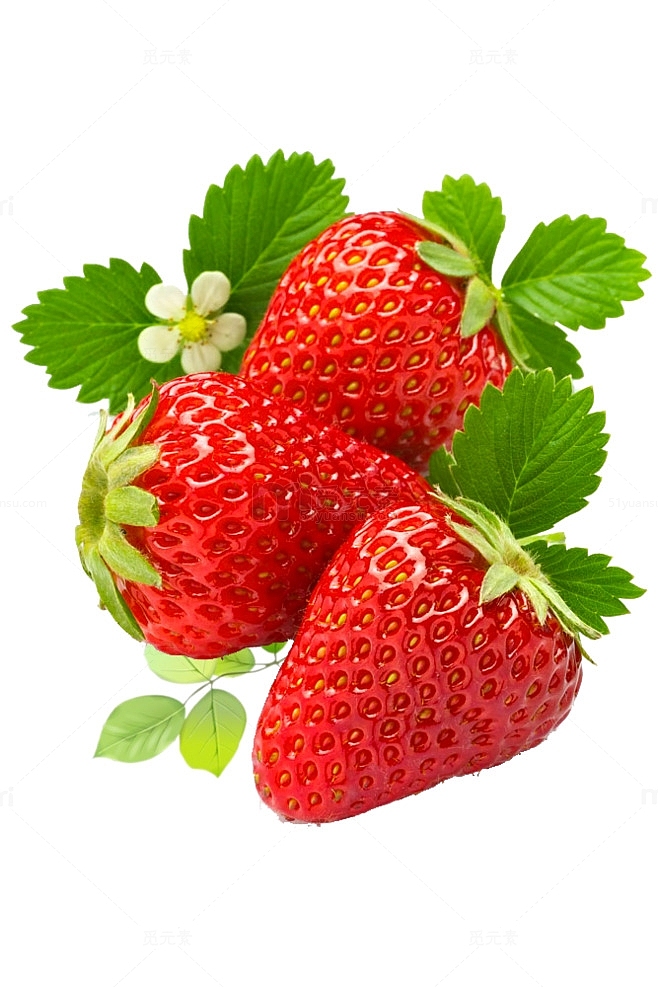 新鲜美味水果草莓