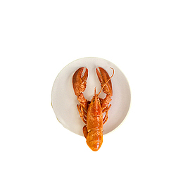 一只在盘子里的小龙虾