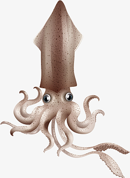 png卡通深海乌贼pngpng可爱的海洋动物pngpng墨斗鱼仔pngaipng粉红色