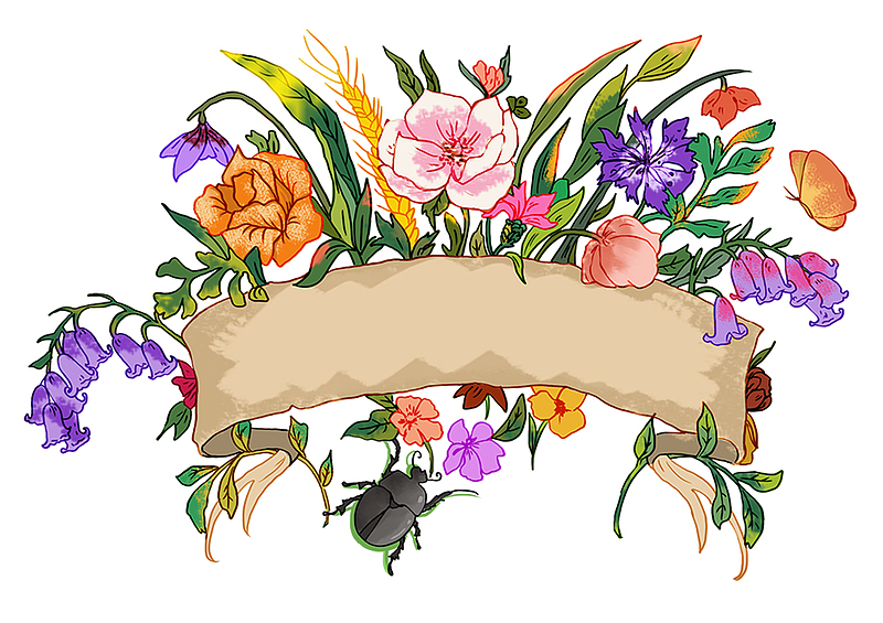 手绘鲜花标题框