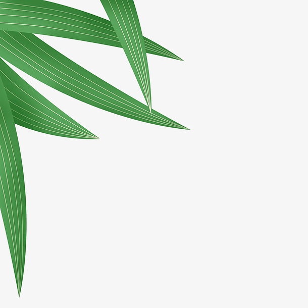 粽叶插画元素免抠素材免费下载_觅元素51yuansu.com