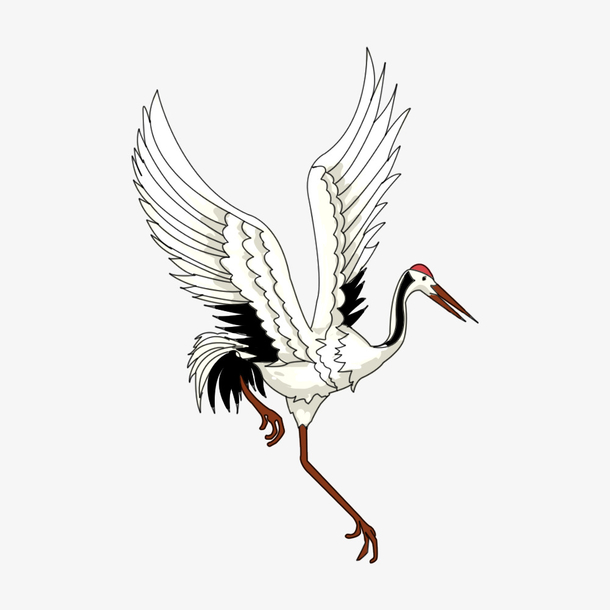 白鹤展翅手绘插画png