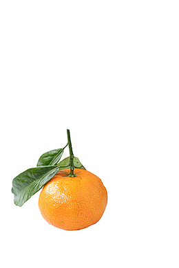 一个完成的新鲜橘子