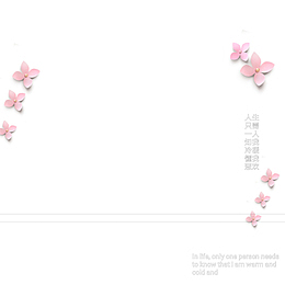 花唯美 装饰文字小图案
