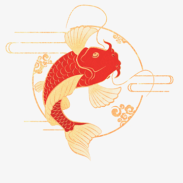 锦鲤背景素材(3374x4359)aipng年年有余海报装饰(1000x1000)png2019