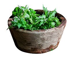 碗装大叶艾草