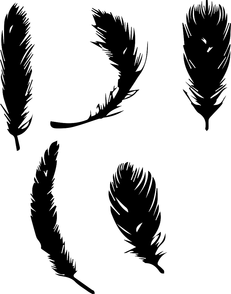 羽毛，免扣，元素，小鸟，黑白