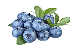 新鲜健康蓝莓图片