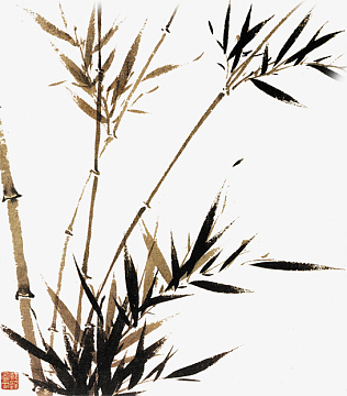水墨,竹子,黑色,古风,竹子
