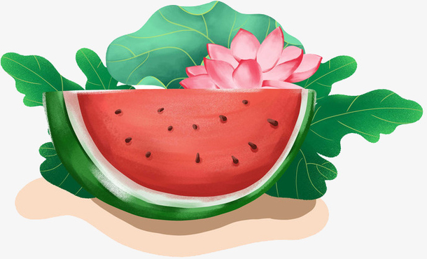 手绘夏至西瓜与荷花
