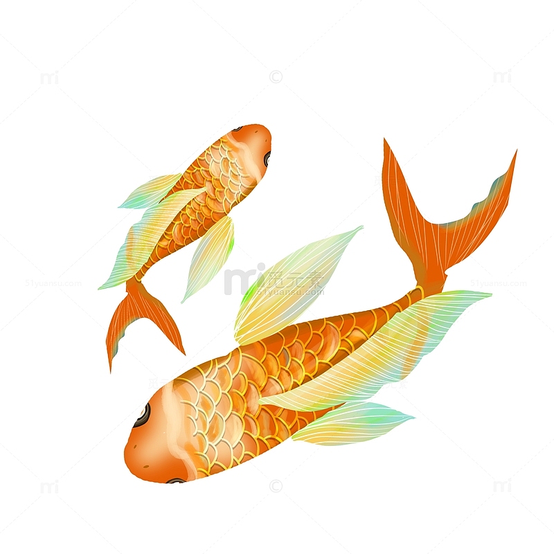 国潮插画鱼元素图片