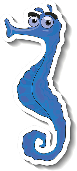 一只可爱的海马