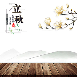 中国风水墨立秋海报