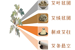 中医艾灸的发展